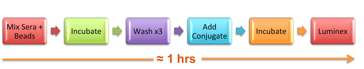 HLA Antibody Workflow