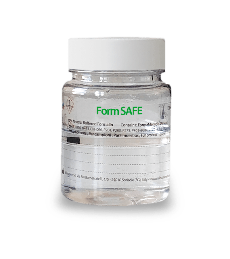 formsafe main 1