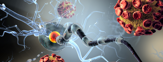 Methylation Sequencing